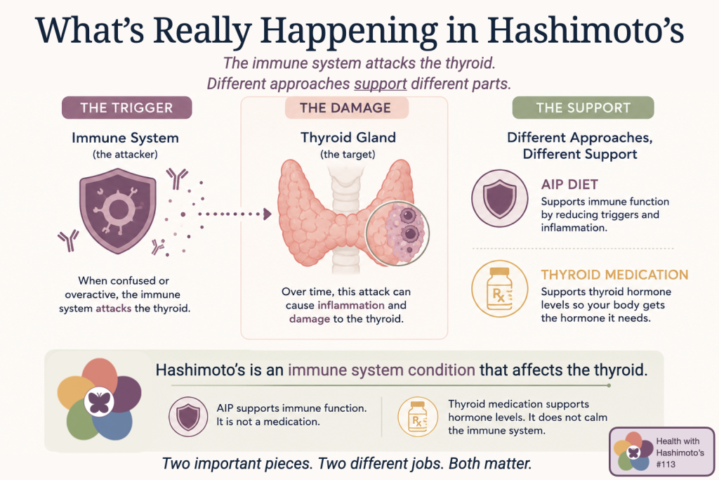 The modified AIP diet for Hashimoto's does not require perfection ⎹ Ep. 113 & 200 10 diagram showing the difference between thyroid hormone function and immune system function in Hashimoto's, relevant to the modified AIP diet for Hashimoto's
